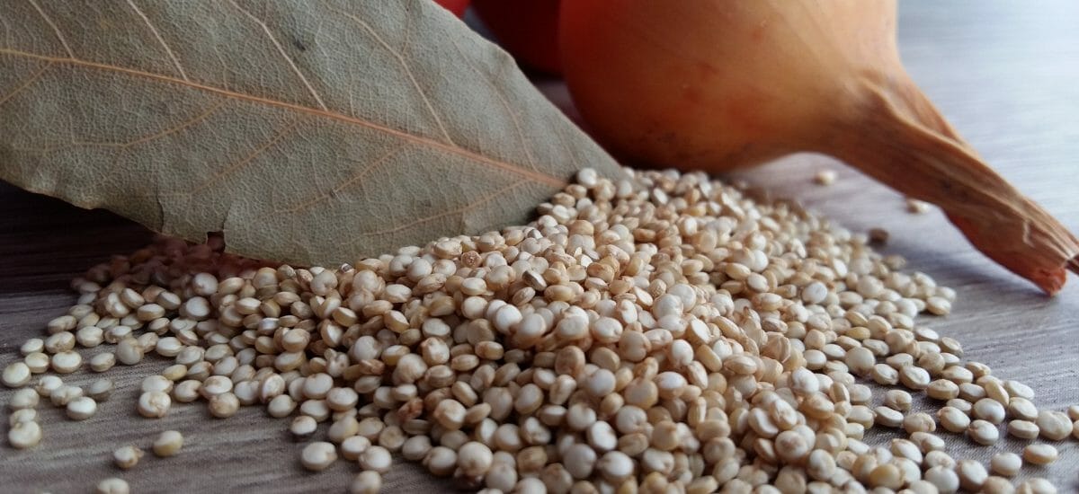 Quinoa – Alles was du wissen musst