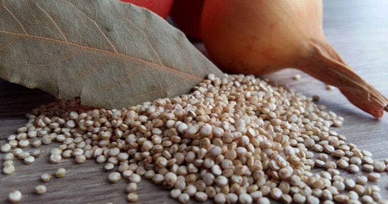 Quinoa – Alles was du wissen musst