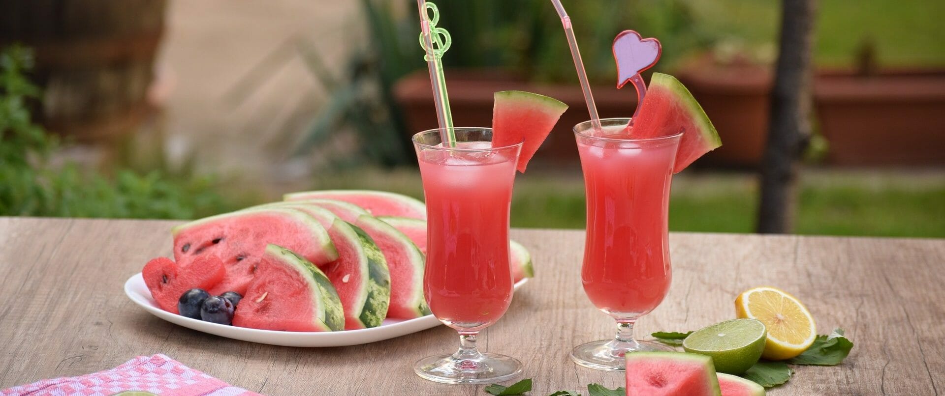 Wassermelonen-Saft selbermachen